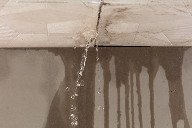 Professional Water Damage Repair technician working in Narberth, PA